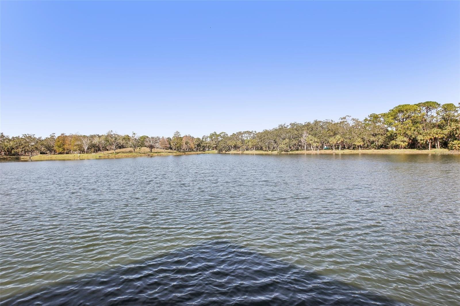 8428 PARKWOOD BLVD, SEMINOLE, FL, 33777