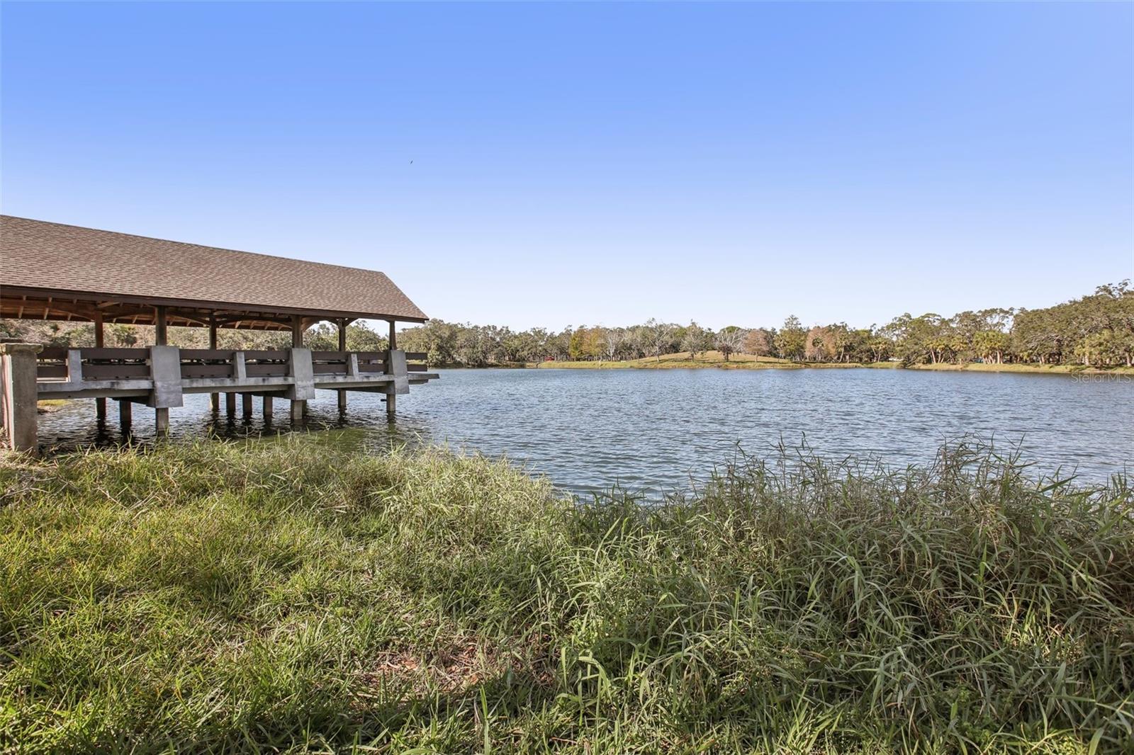 8428 PARKWOOD BLVD, SEMINOLE, FL, 33777
