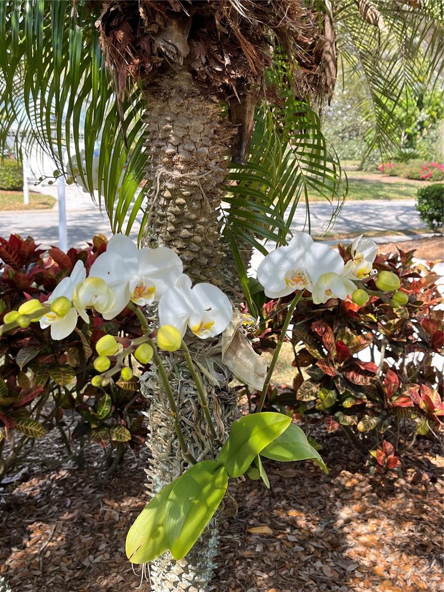 6726 VIRGINIA XING, UNIVERSITY PARK, FL, 34201