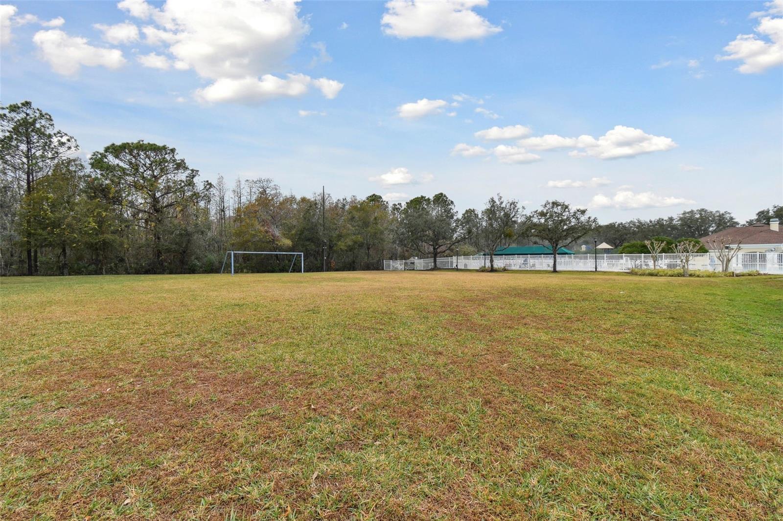 25406 LEXINGTON OAKS BLVD, WESLEY CHAPEL, FL, 33544