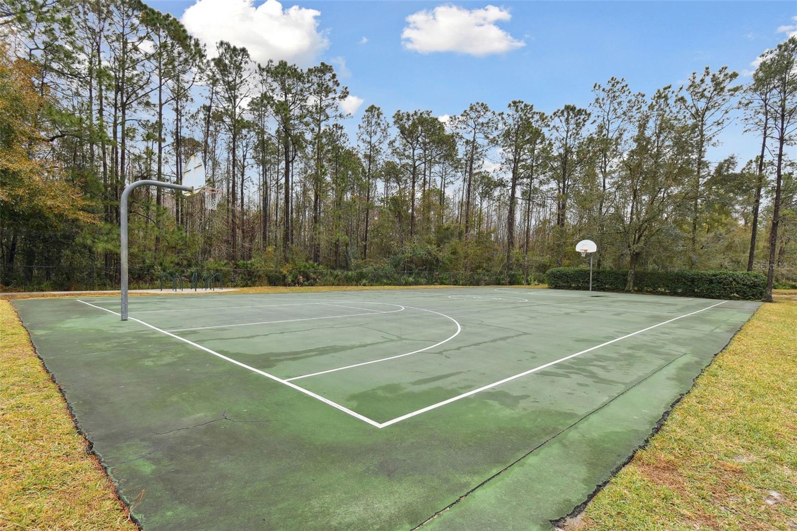 25406 LEXINGTON OAKS BLVD, WESLEY CHAPEL, FL, 33544