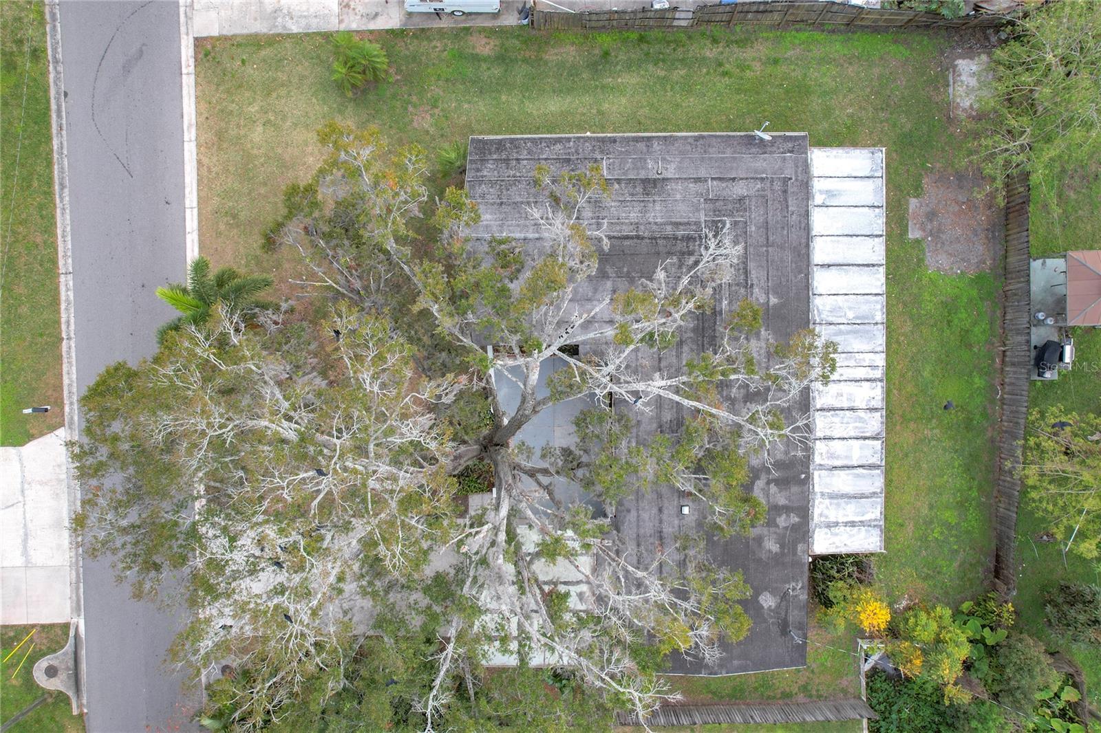 4528 S SHORE RD, ORLANDO, FL, 32839