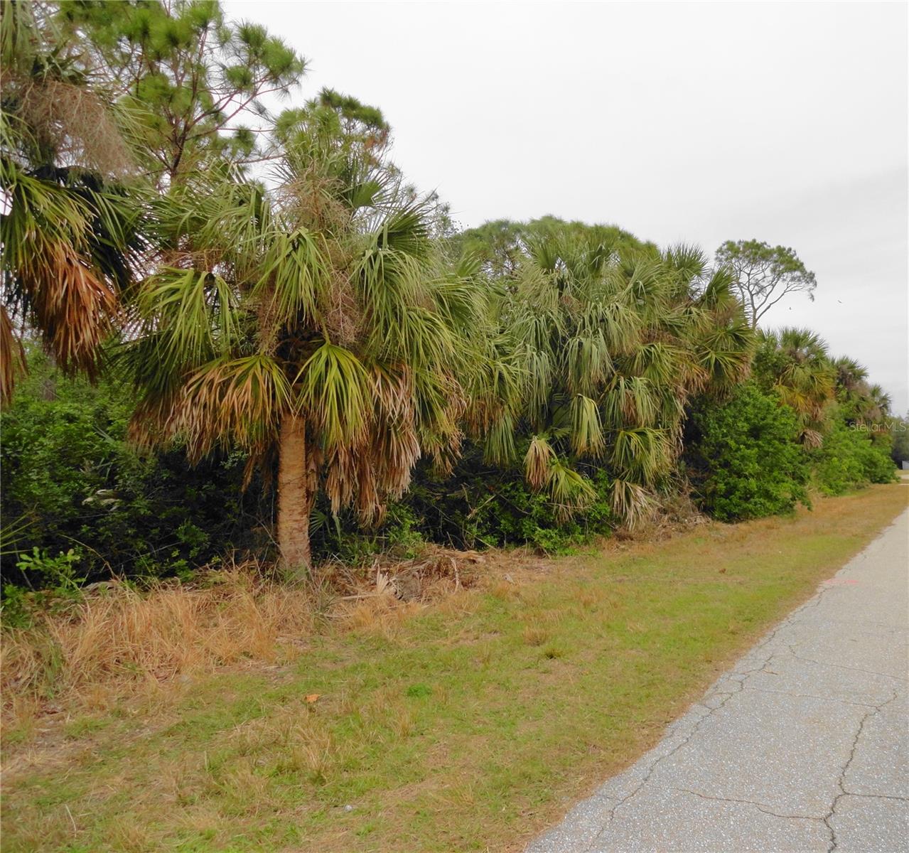 4113 & 4103 MUNSON ST, PORT CHARLOTTE, FL, 33948