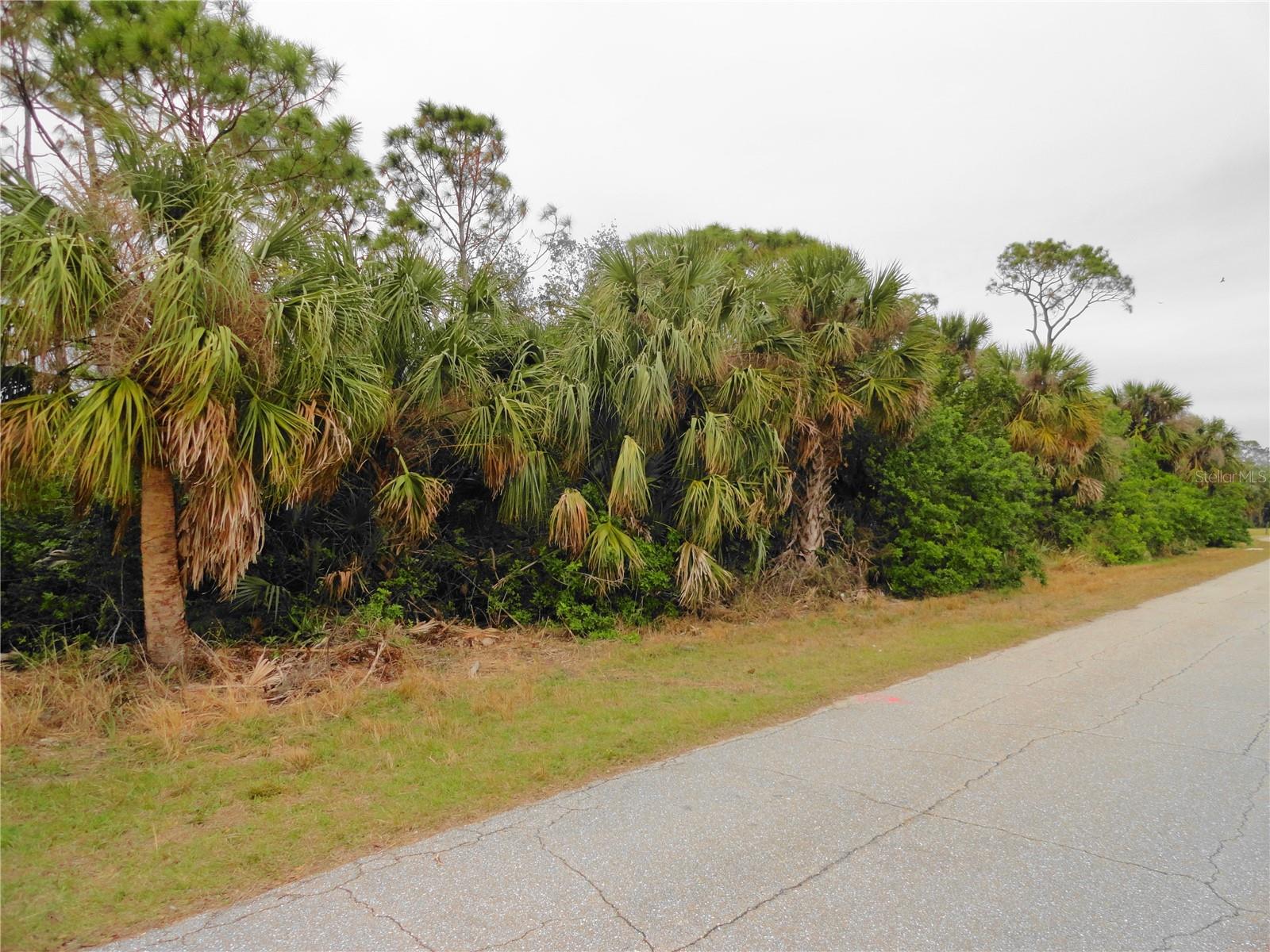 4113 & 4103 MUNSON ST, PORT CHARLOTTE, FL, 33948