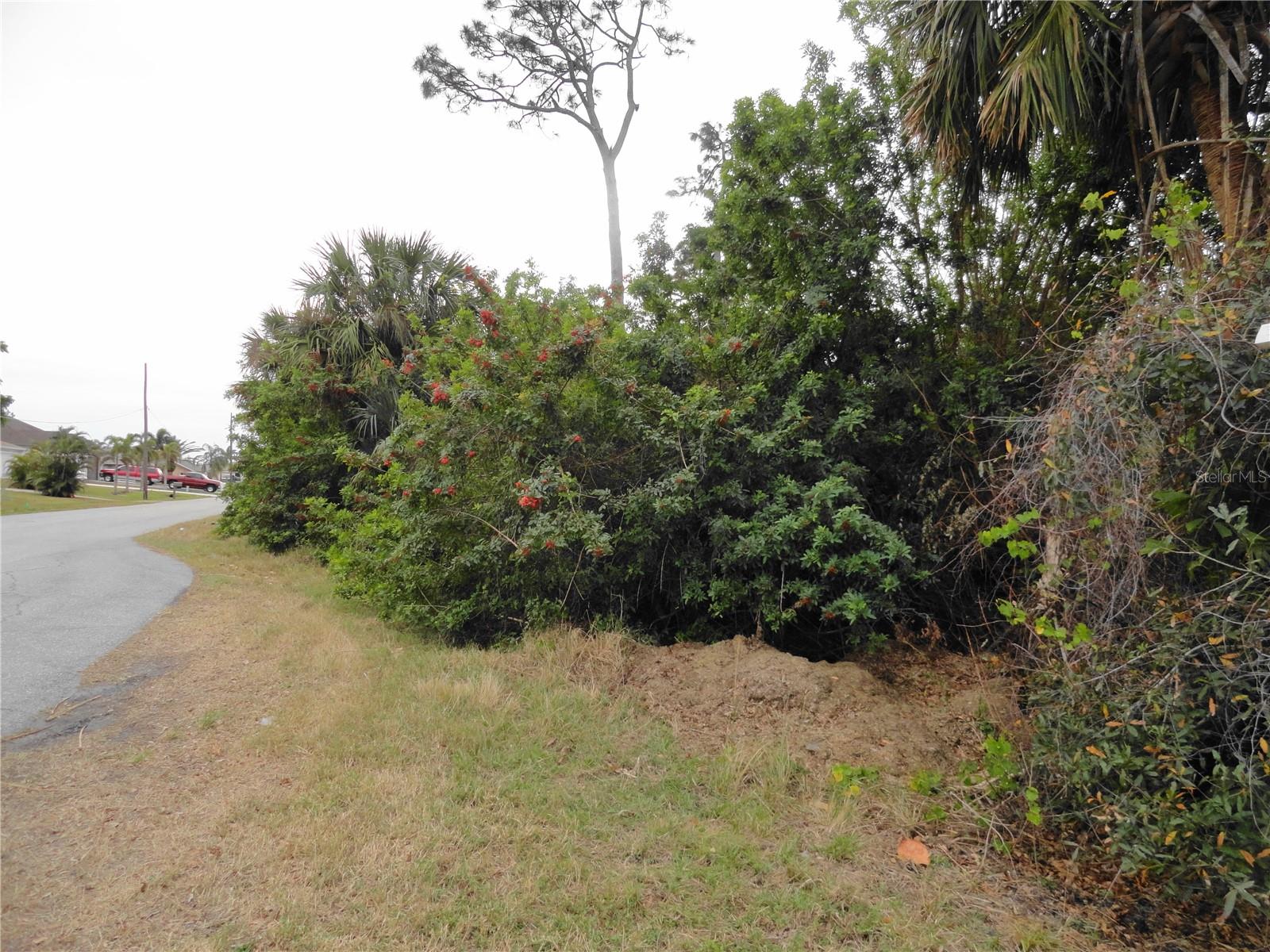 4113 & 4103 MUNSON ST, PORT CHARLOTTE, FL, 33948