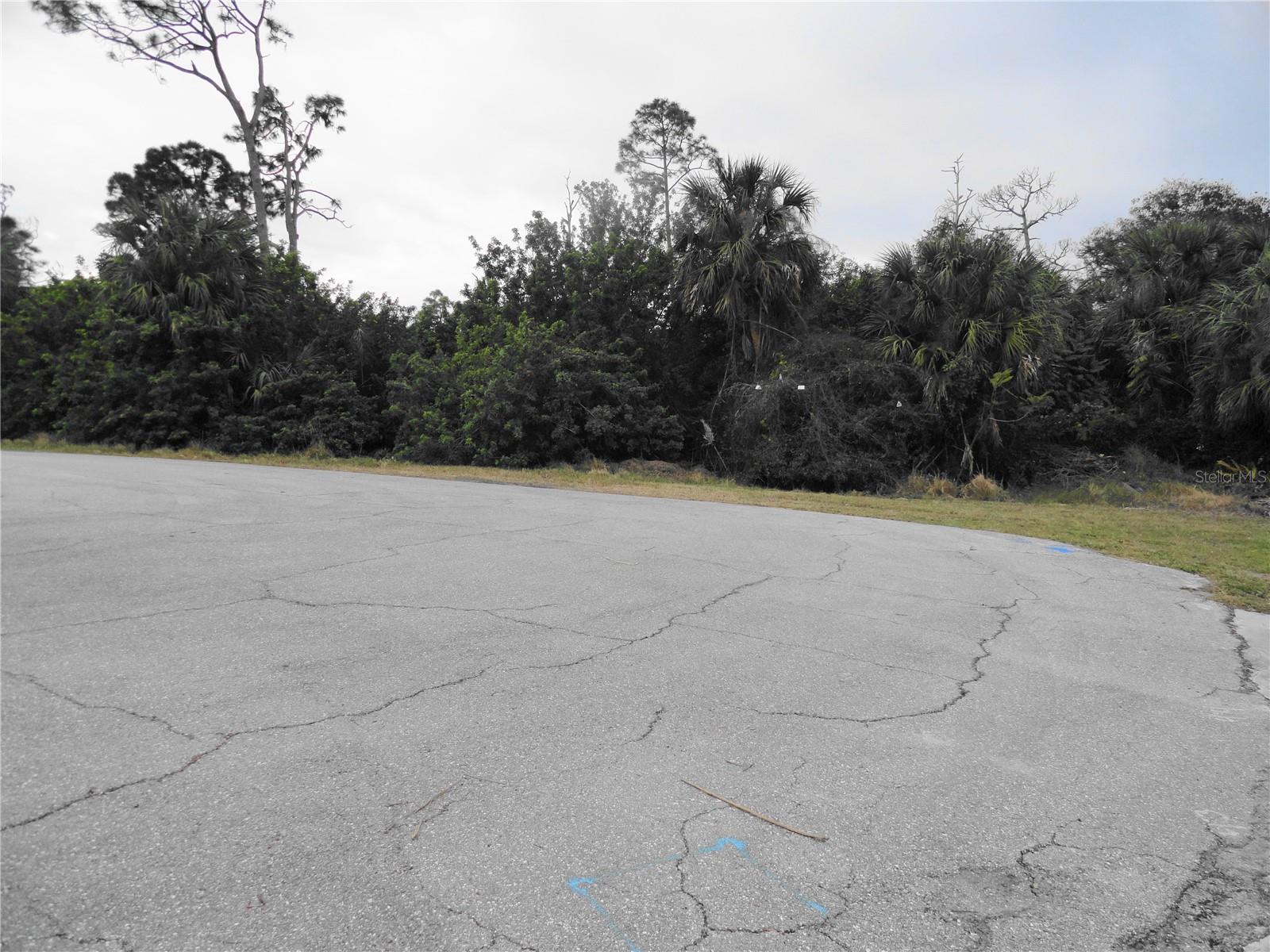 4113 & 4103 MUNSON ST, PORT CHARLOTTE, FL, 33948