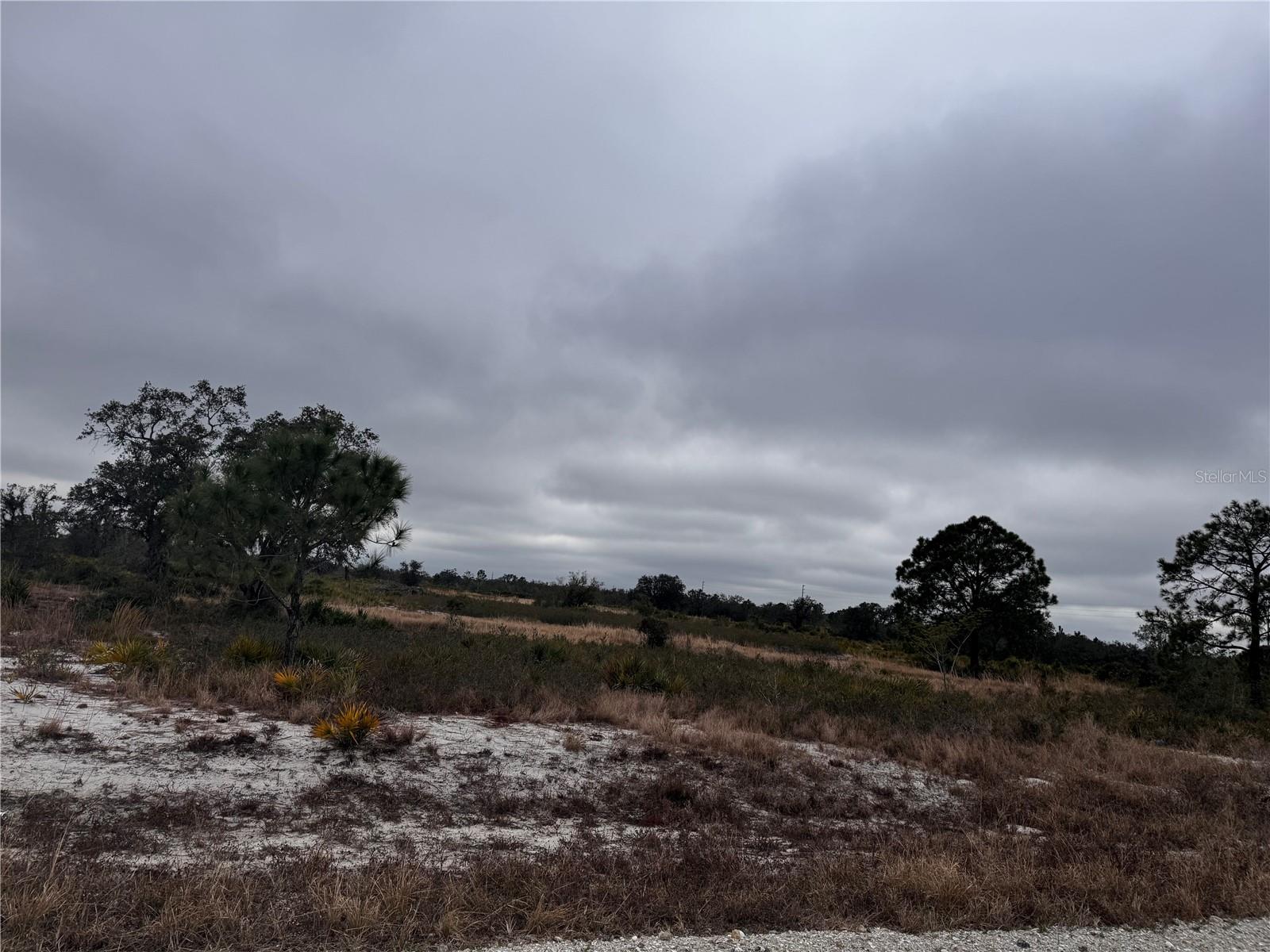 2215 W SHULA RD, AVON PARK, FL, 33825
