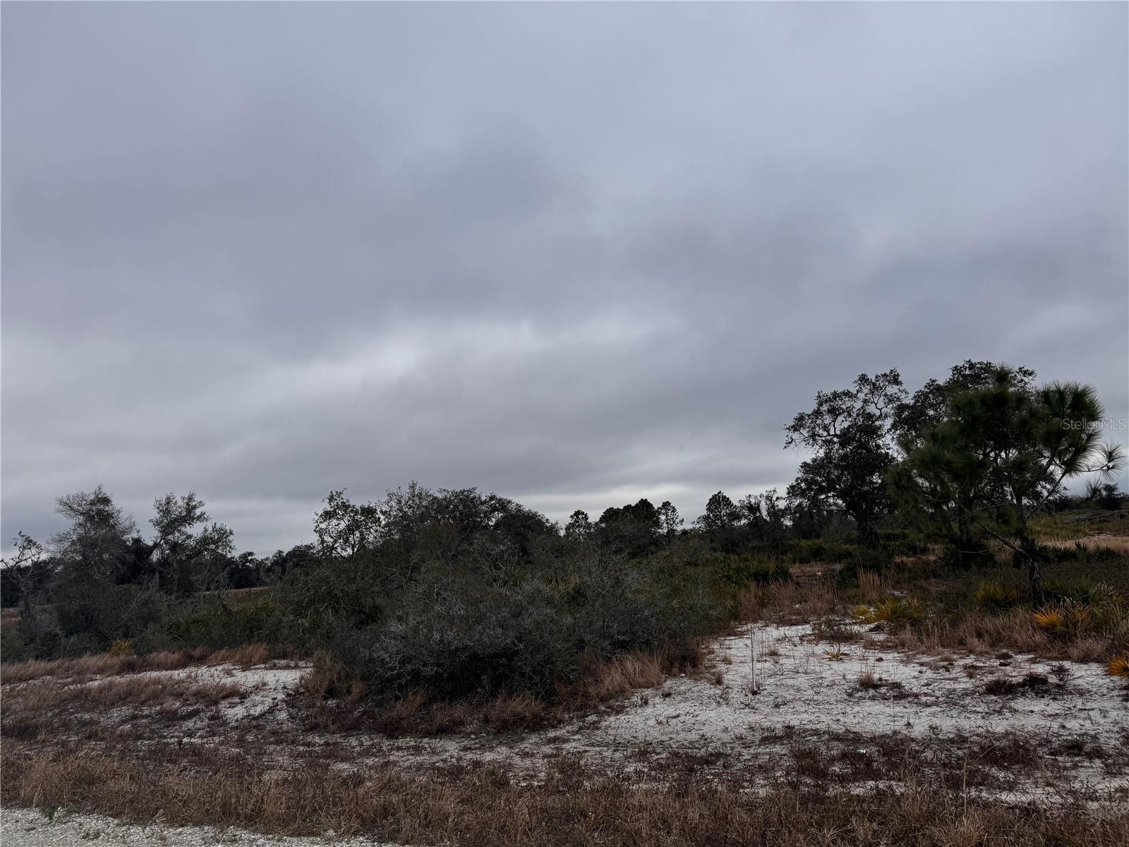 2215 W SHULA RD, AVON PARK, FL, 33825