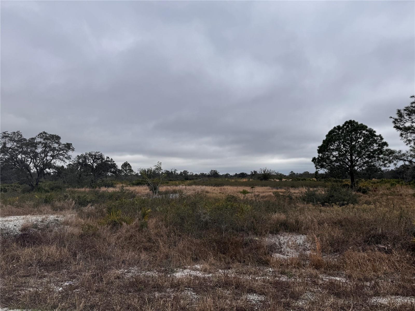 2215 W SHULA RD, AVON PARK, FL, 33825