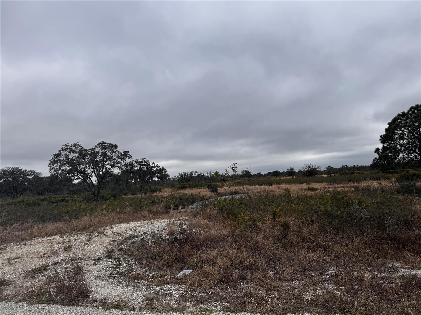 2215 W SHULA RD, AVON PARK, FL, 33825