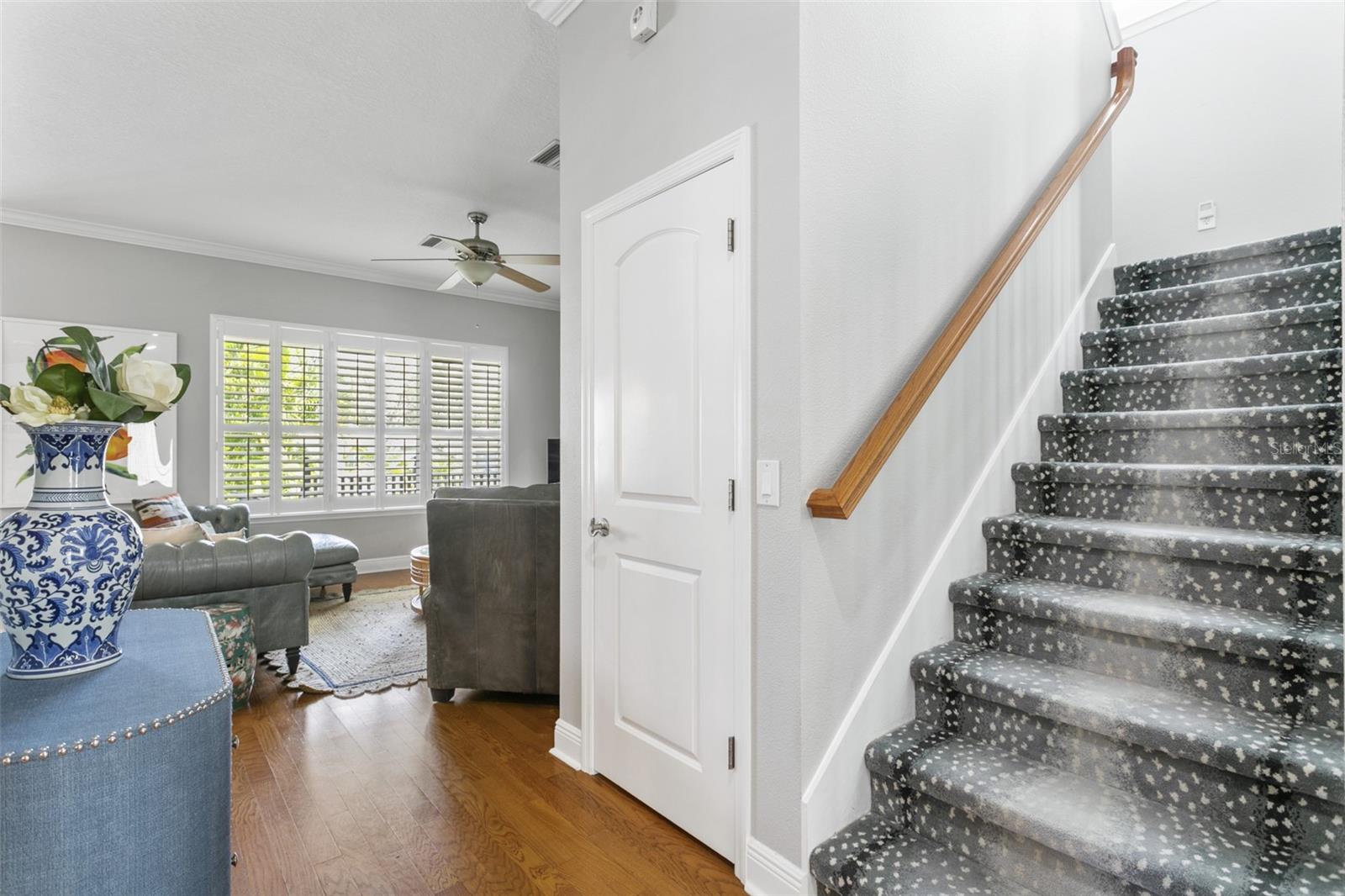 6208 SANDERS DR, TAMPA, FL, 33611