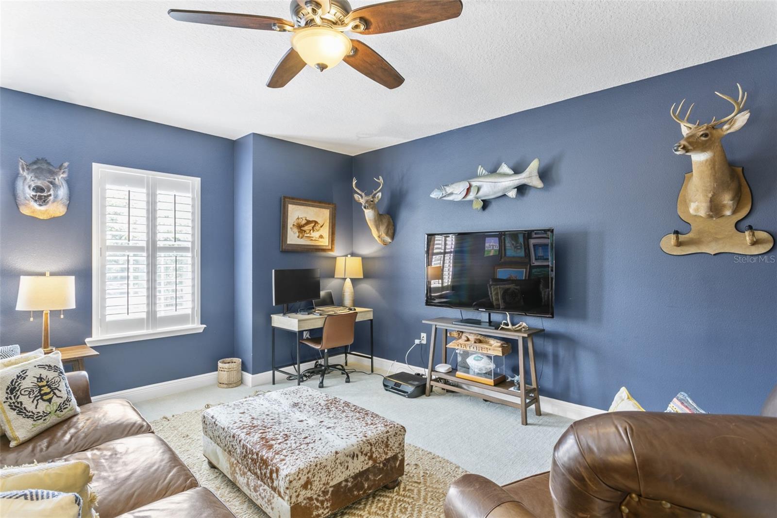 6208 SANDERS DR, TAMPA, FL, 33611