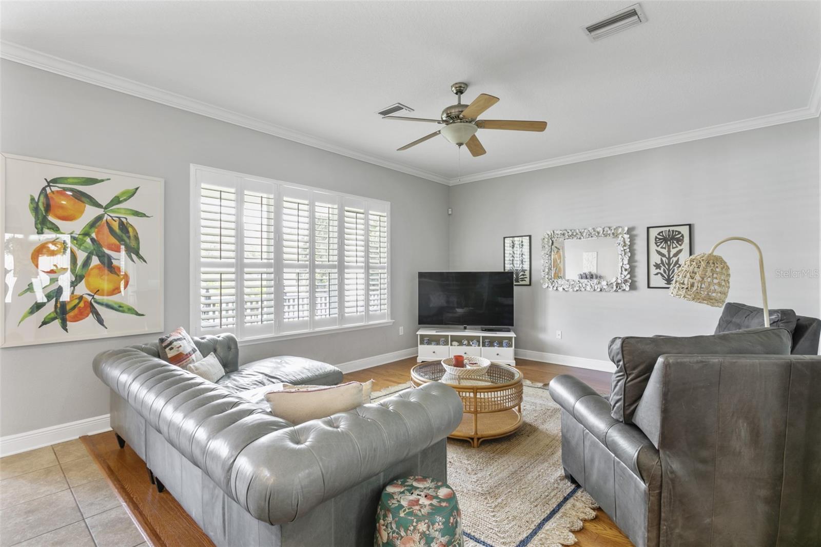 6208 SANDERS DR, TAMPA, FL, 33611