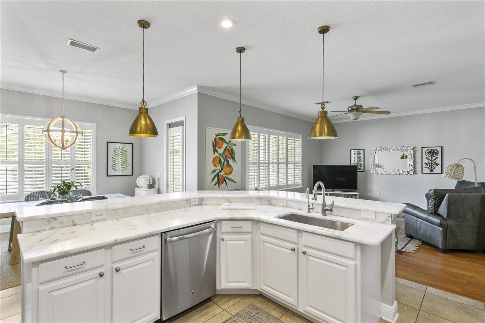 6208 SANDERS DR, TAMPA, FL, 33611