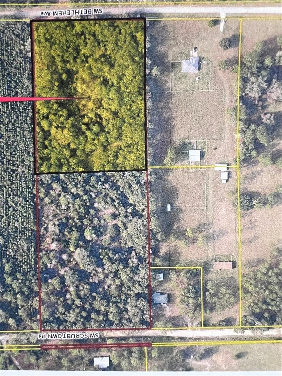 SW BETHLEHEM AVE, FORT WHITE, FL, 32038