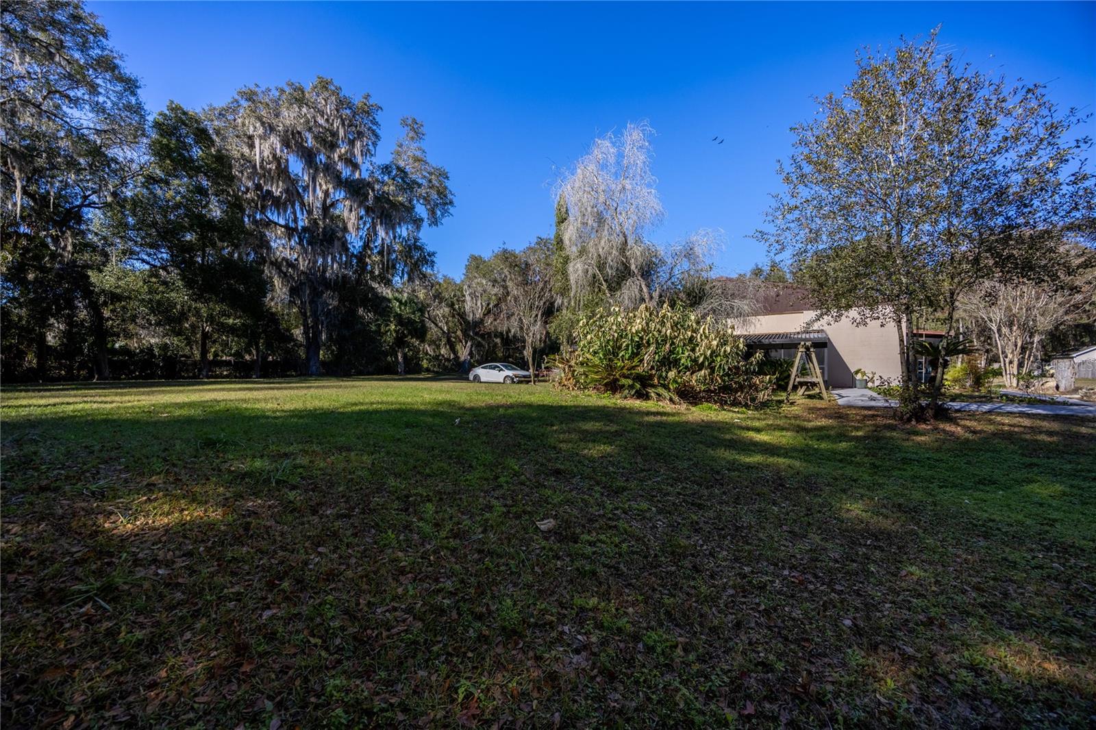 5650 NW 219 ST, MICANOPY, FL, 32667