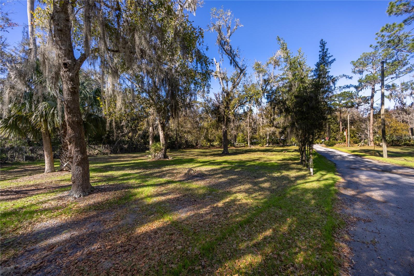 5650 NW 219 ST, MICANOPY, FL, 32667