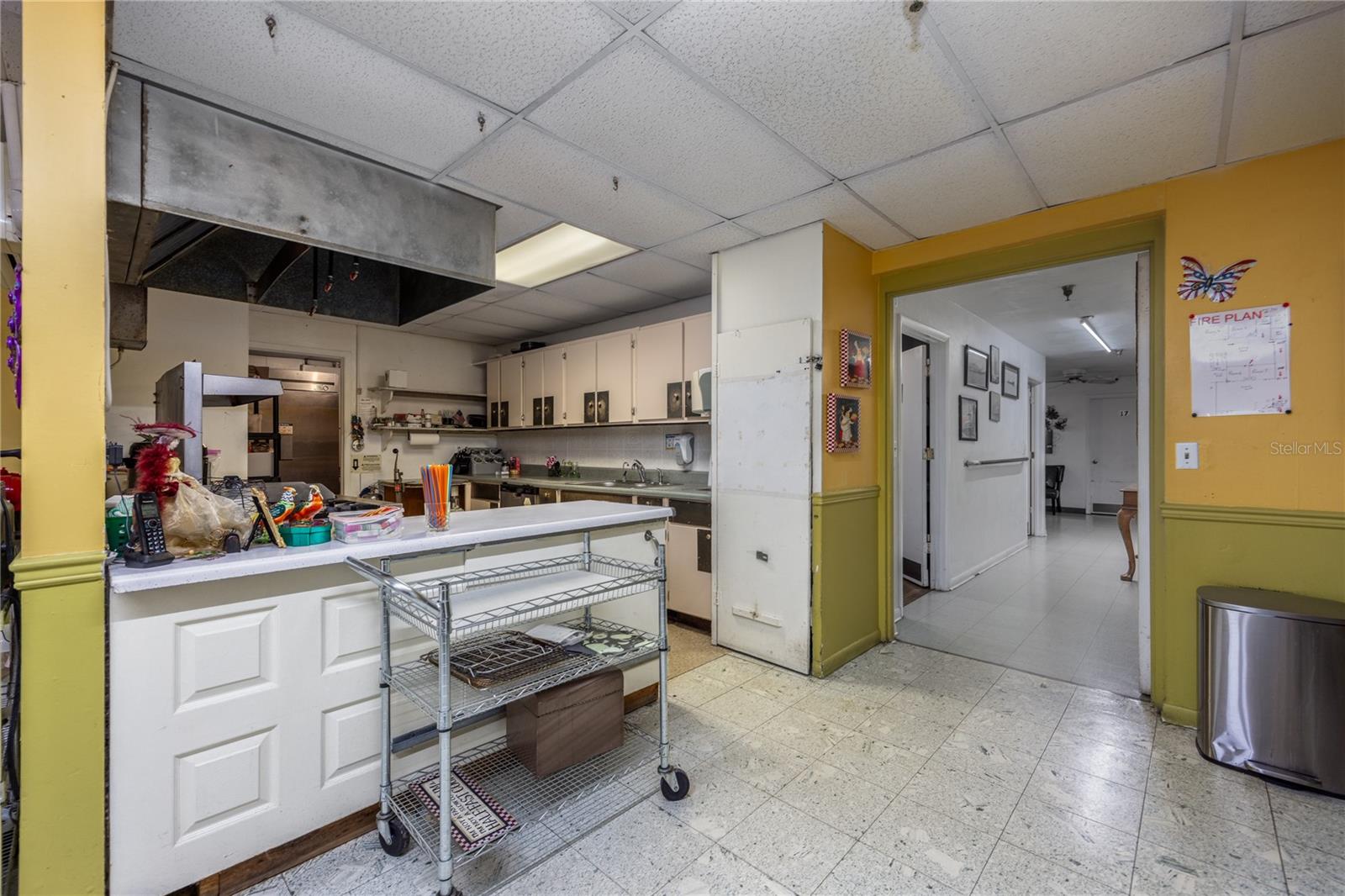5650 NW 219 ST, MICANOPY, FL, 32667