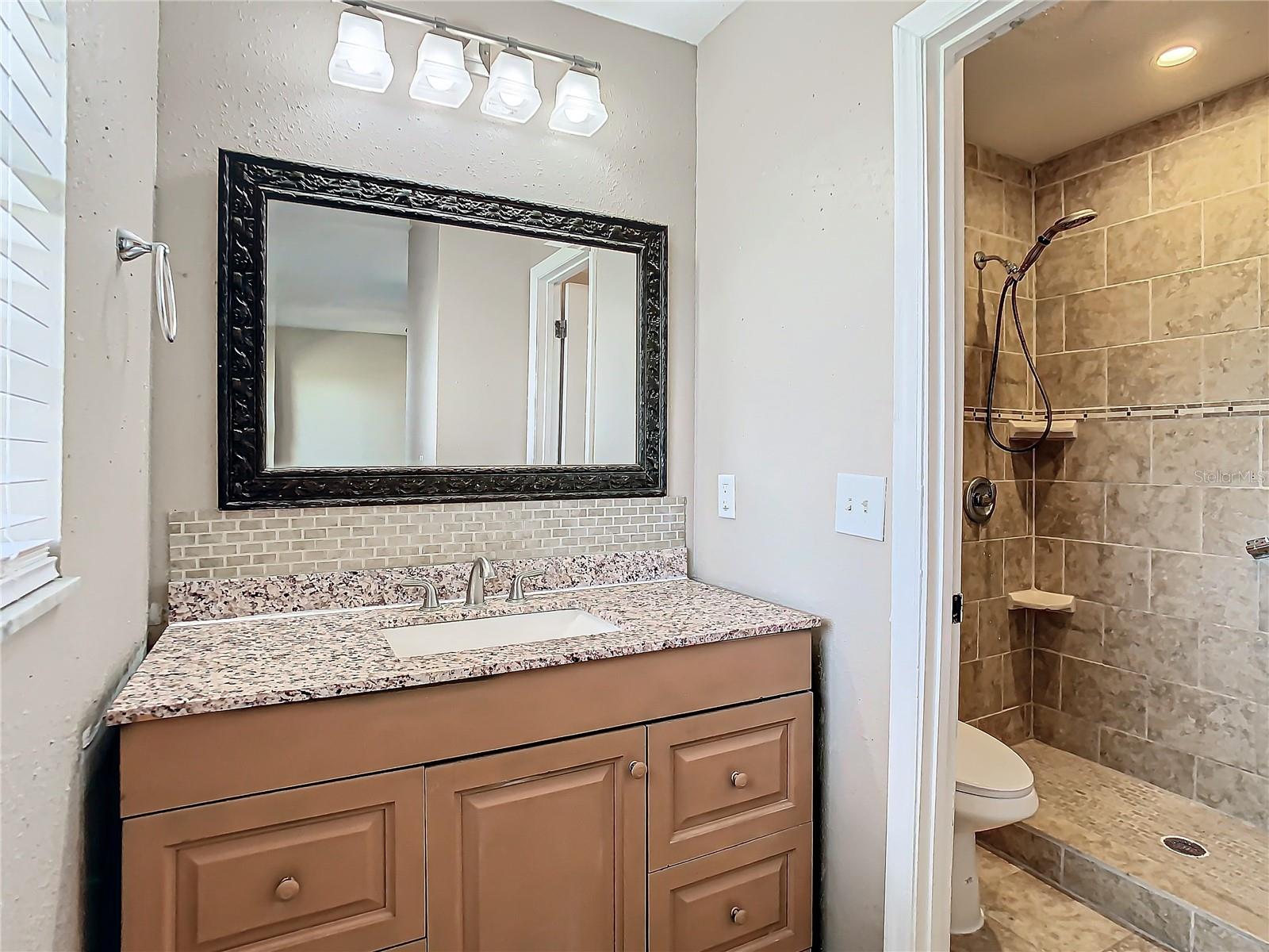 1210 LADY ELAINE DR, VALRICO, FL, 33594