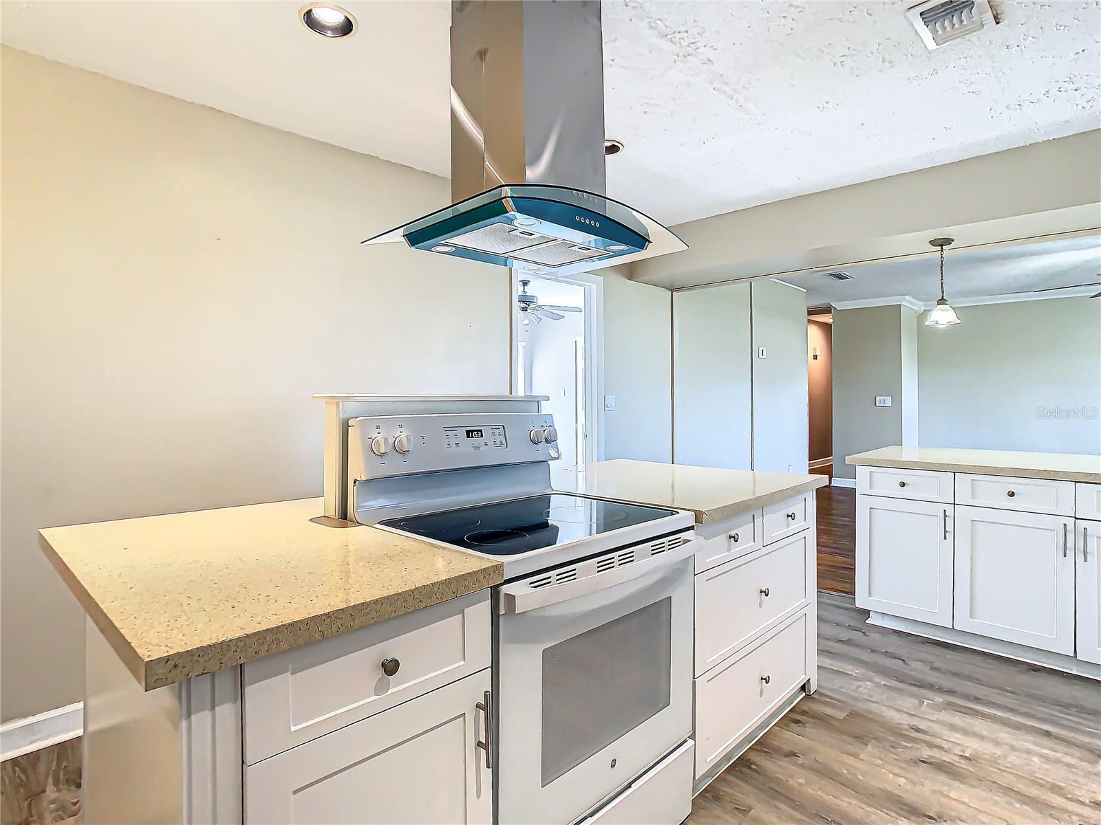 1210 LADY ELAINE DR, VALRICO, FL, 33594