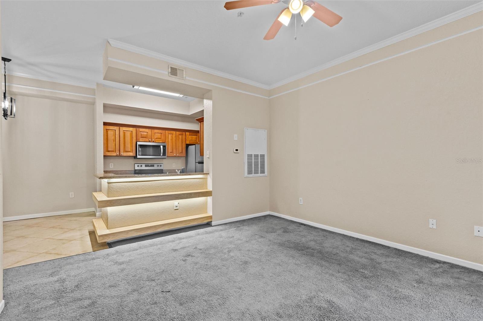 17108 CARRINGTON PARK DR #710, TAMPA, FL, 33647