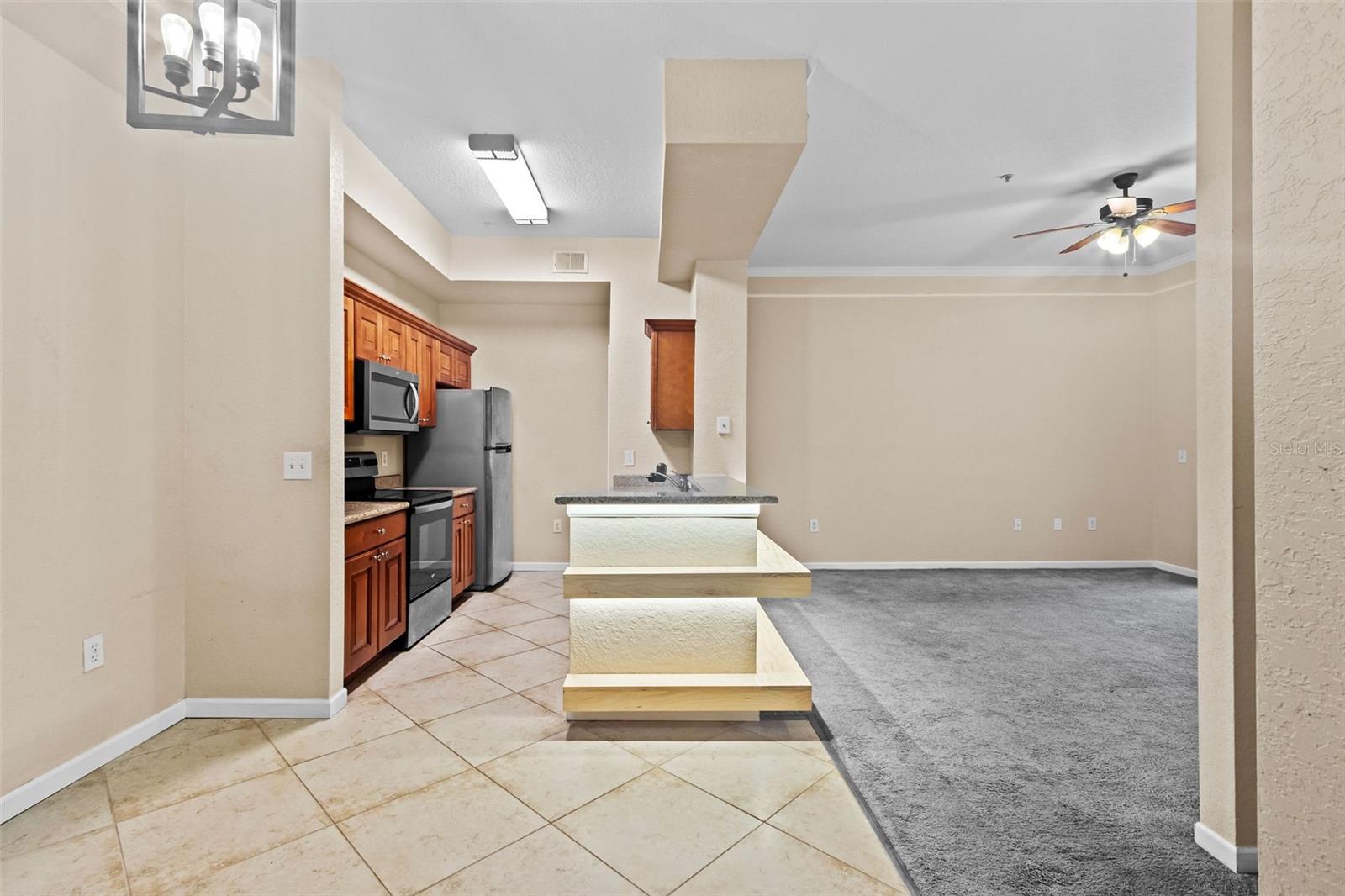 17108 CARRINGTON PARK DR #710, TAMPA, FL, 33647