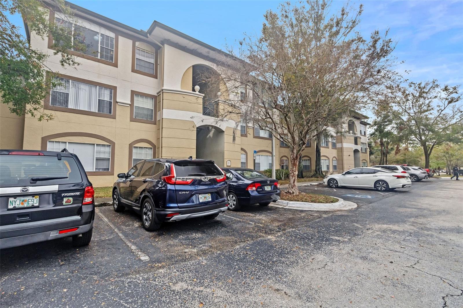 17108 CARRINGTON PARK DR #710, TAMPA, FL, 33647