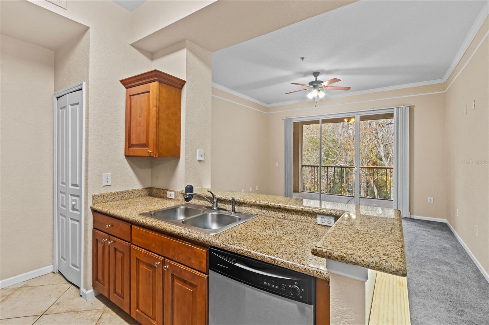 17108 CARRINGTON PARK DR #710, TAMPA, FL, 33647