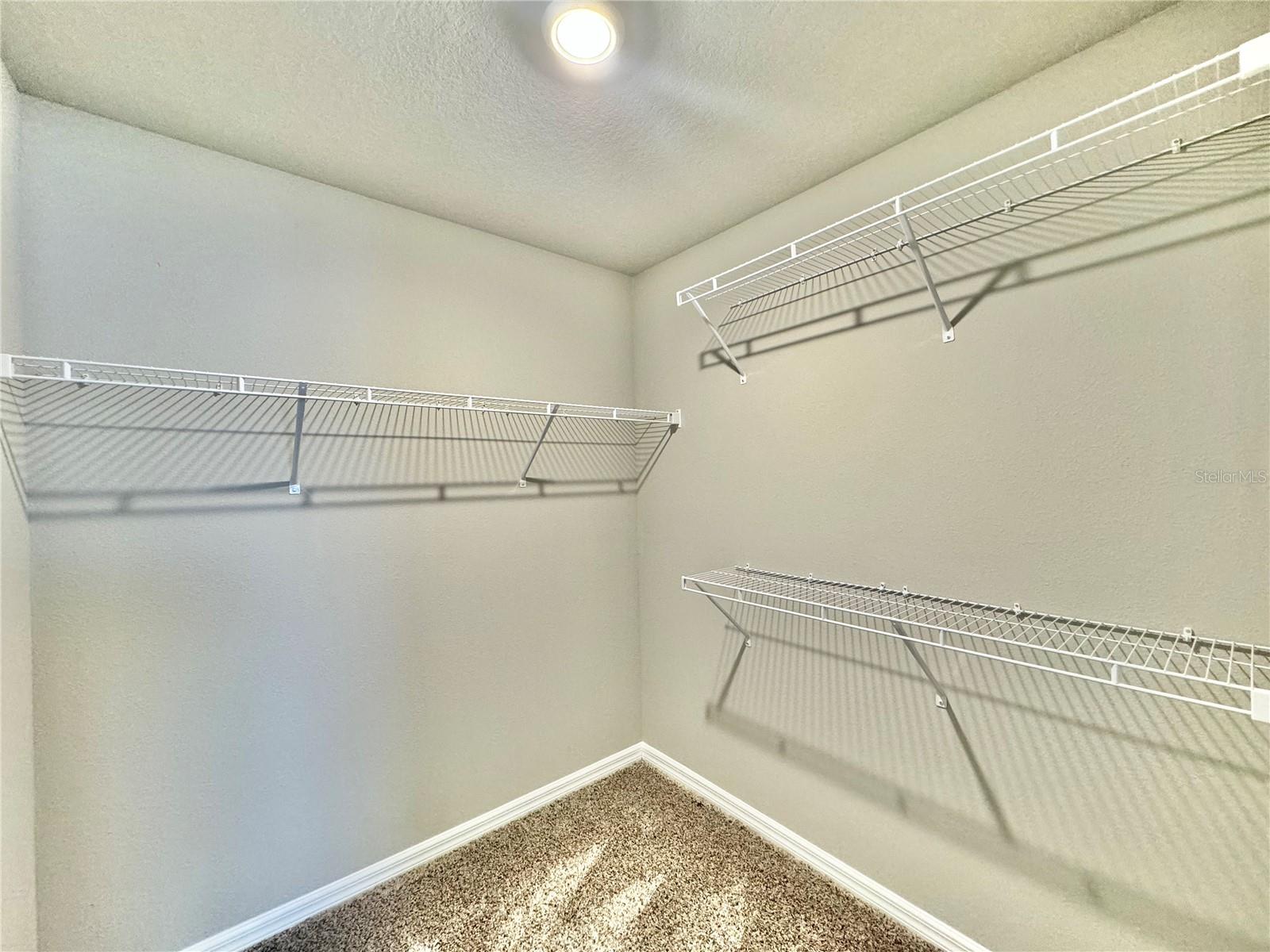 7688 IMAGINATION PL, WESLEY CHAPEL, FL, 33545