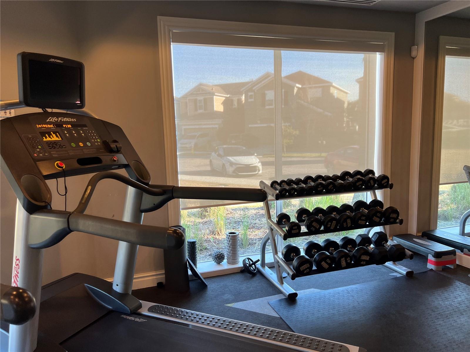 7688 IMAGINATION PL, WESLEY CHAPEL, FL, 33545