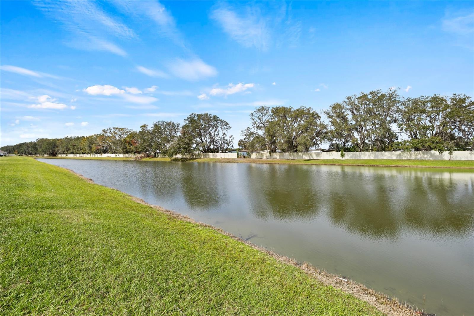 34395 SOREEL MINT DR, WESLEY CHAPEL, FL, 33543