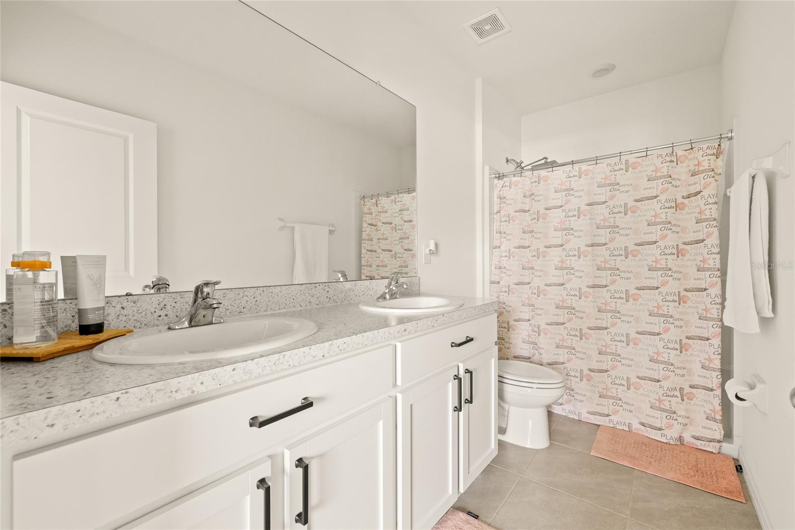 34395 SOREEL MINT DR, WESLEY CHAPEL, FL, 33543