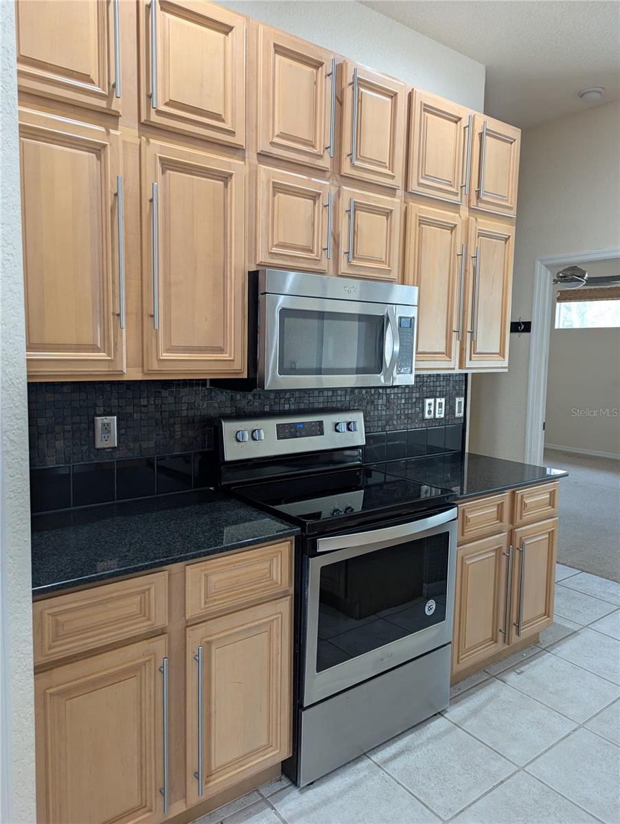 2365 ARDENWOOD DR, SPRING HILL, FL, 34609