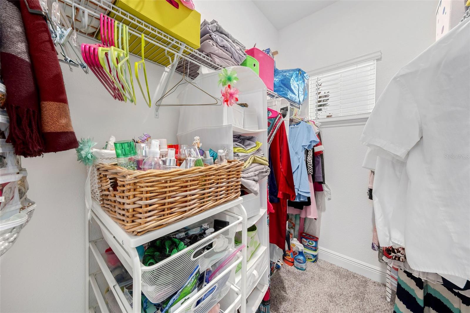 9790 AMBER CHESTNUT WAY, WINTER GARDEN, FL, 34787