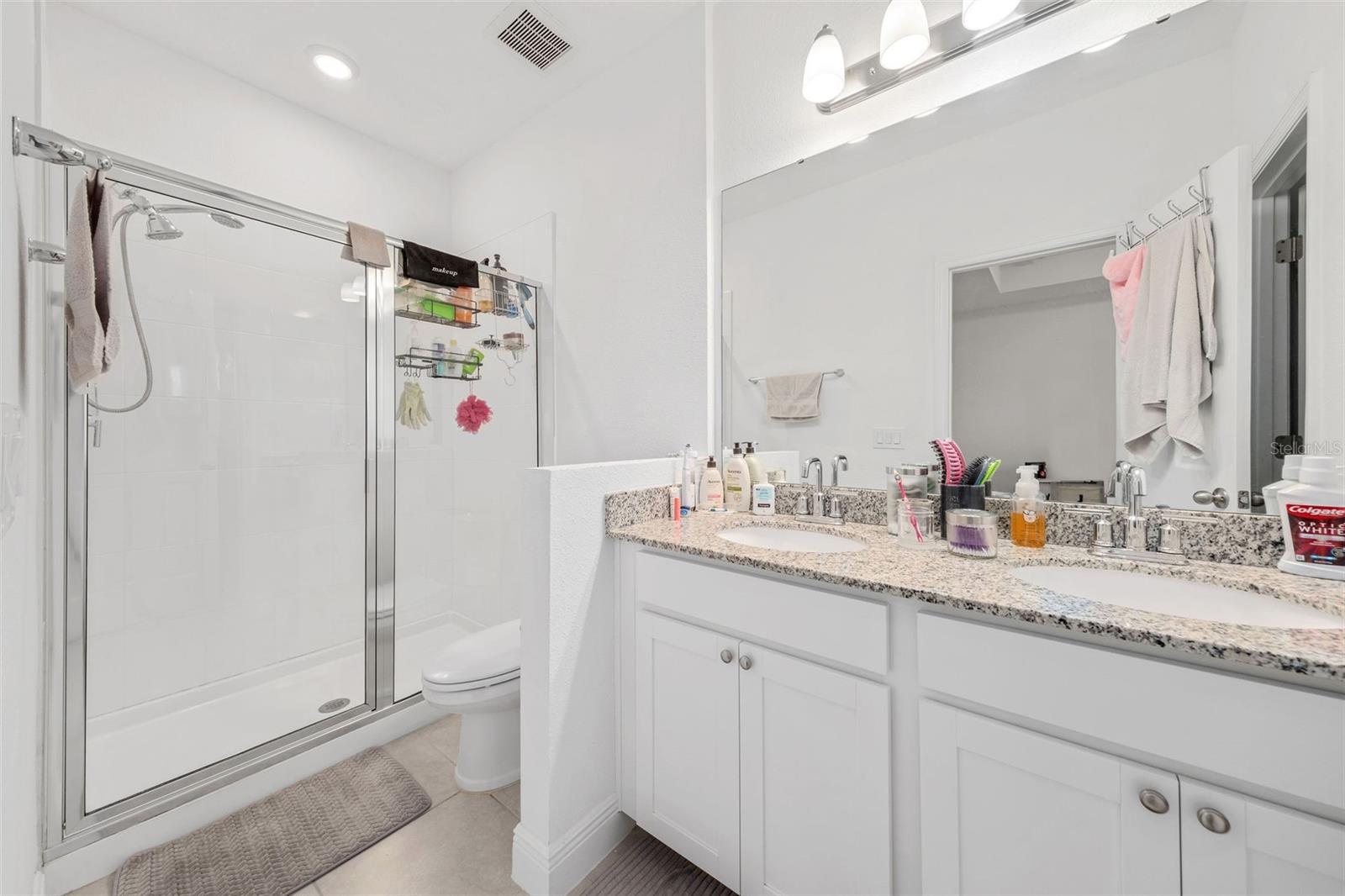 9790 AMBER CHESTNUT WAY, WINTER GARDEN, FL, 34787