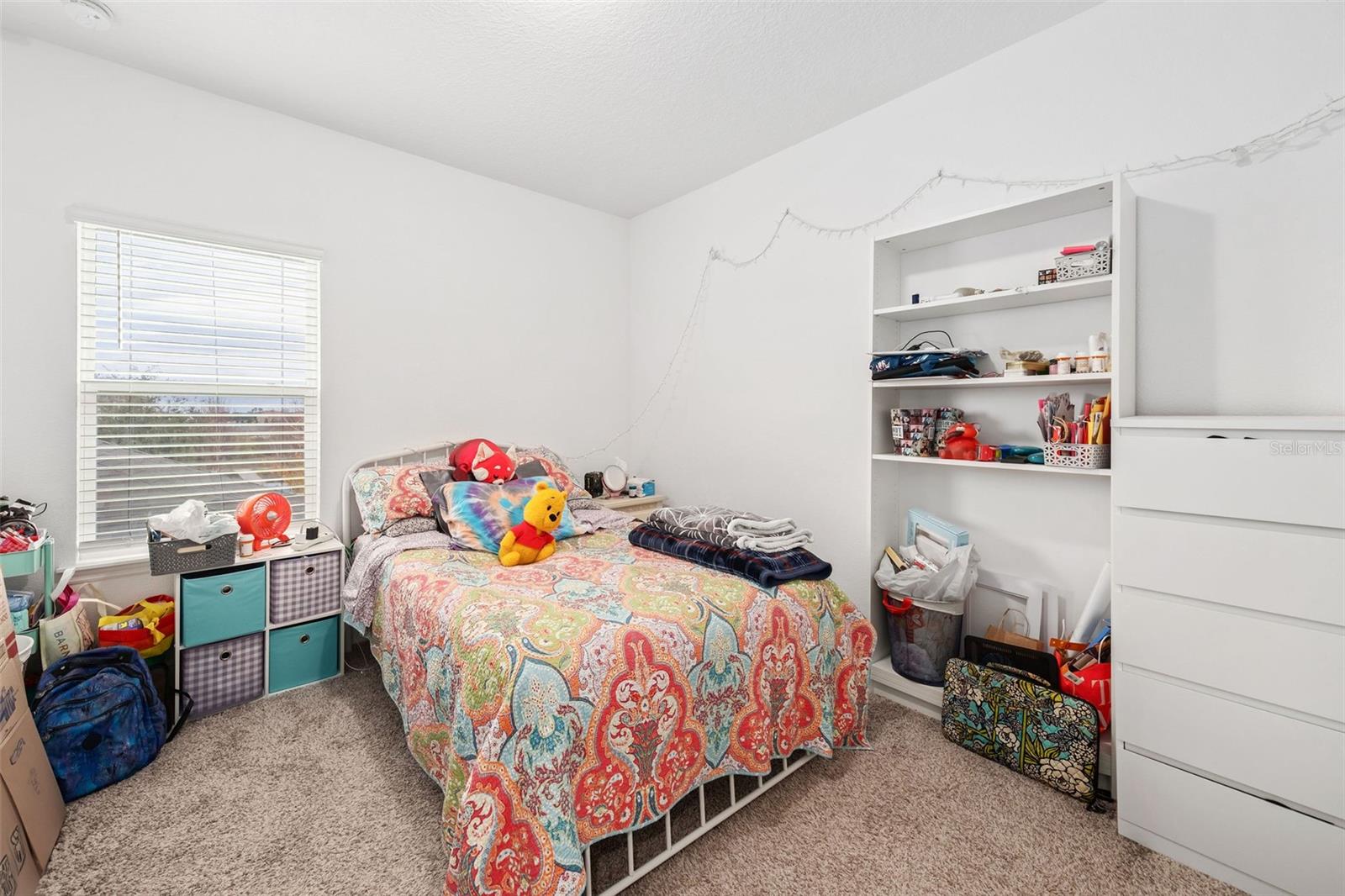 9790 AMBER CHESTNUT WAY, WINTER GARDEN, FL, 34787