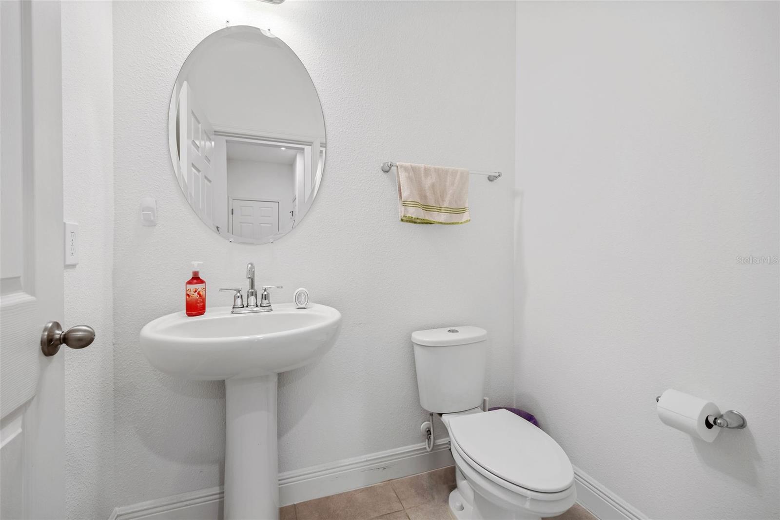 9790 AMBER CHESTNUT WAY, WINTER GARDEN, FL, 34787