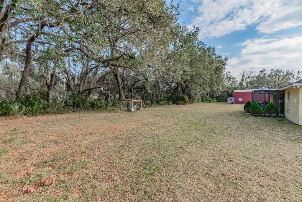 1401 CASTLEBERRY FARMS LN, LITHIA, FL, 33547