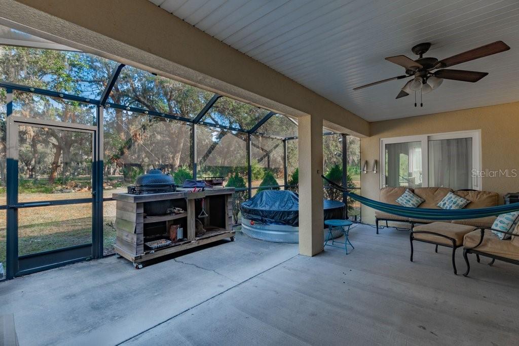 1401 CASTLEBERRY FARMS LN, LITHIA, FL, 33547