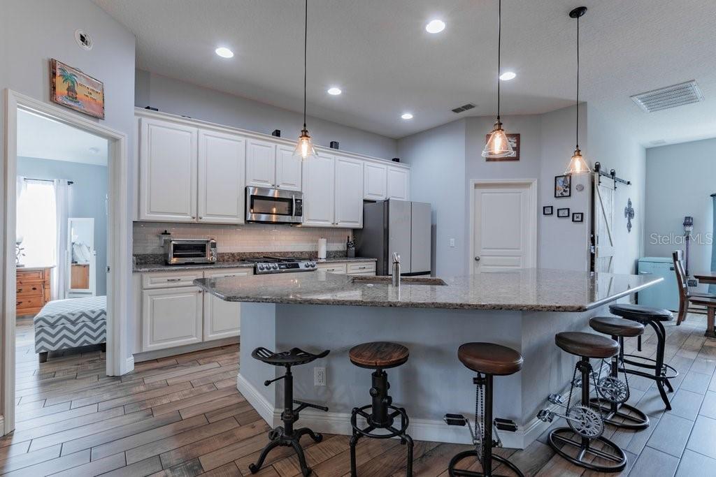 1401 CASTLEBERRY FARMS LN, LITHIA, FL, 33547