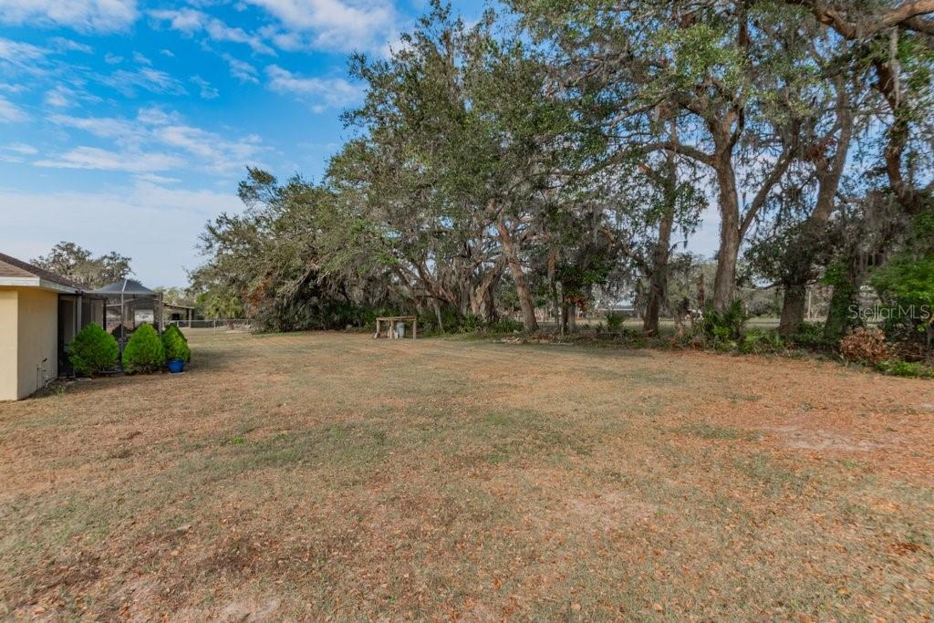1401 CASTLEBERRY FARMS LN, LITHIA, FL, 33547