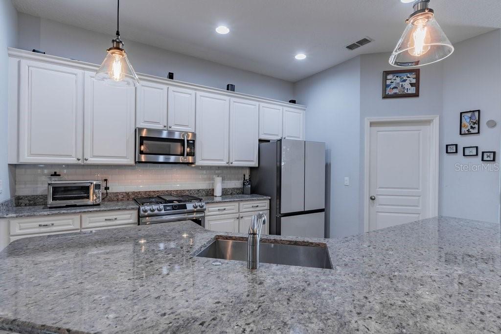 1401 CASTLEBERRY FARMS LN, LITHIA, FL, 33547