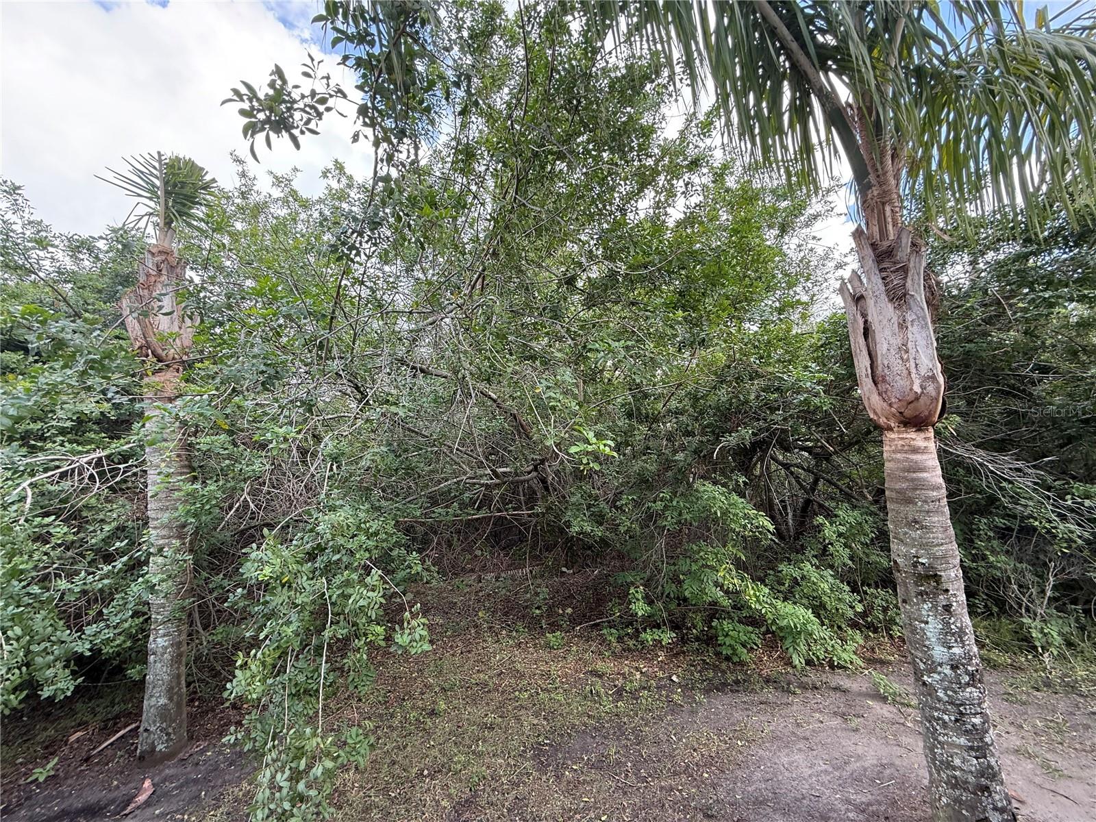 11035 WINTER CREST DR, RIVERVIEW, FL, 33569