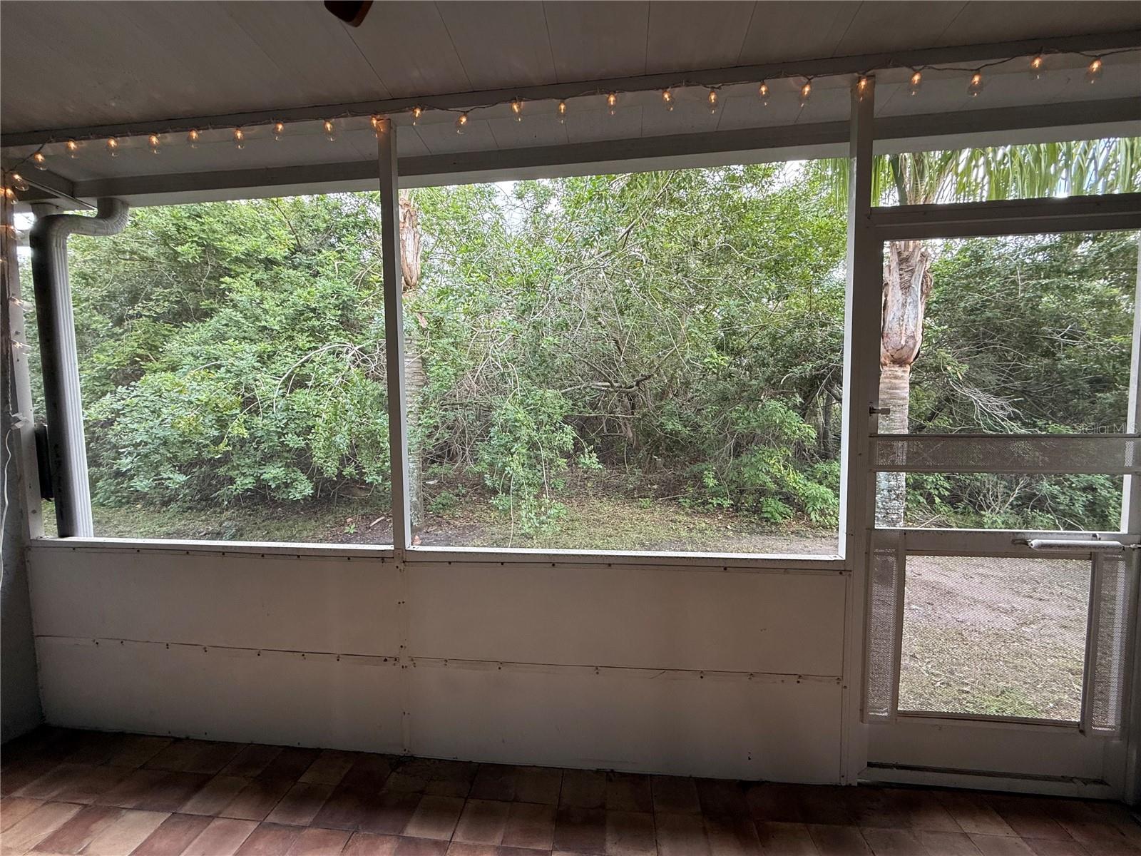 11035 WINTER CREST DR, RIVERVIEW, FL, 33569