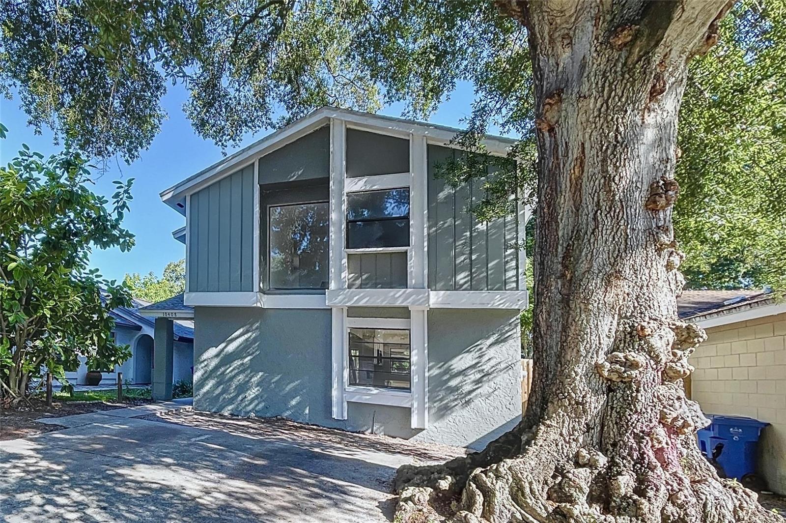 10408 ROSEMOUNT DR, TAMPA, FL, 33624