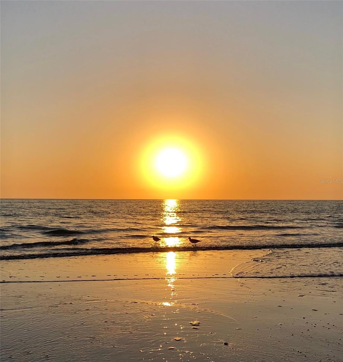 13999 GULF BLVD #301, ST PETERSBURG, FL, 33708