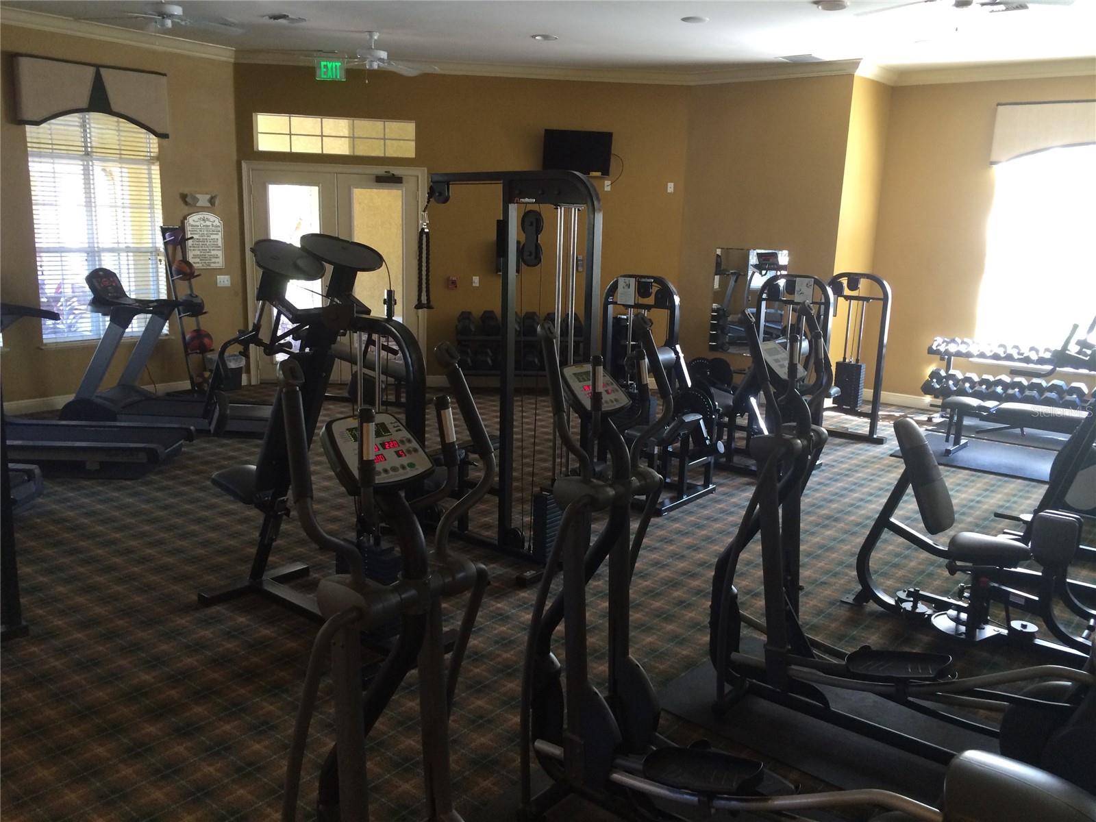 10201 COURTNEY PALMS BLVD #103, TAMPA, FL, 33619