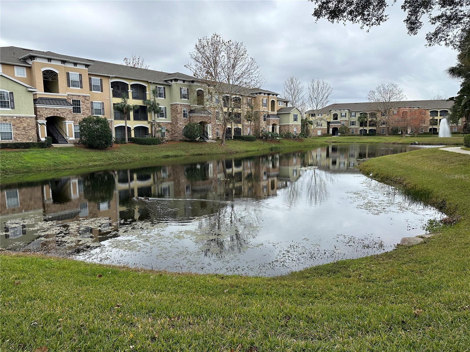 10201 COURTNEY PALMS BLVD #103, TAMPA, FL, 33619