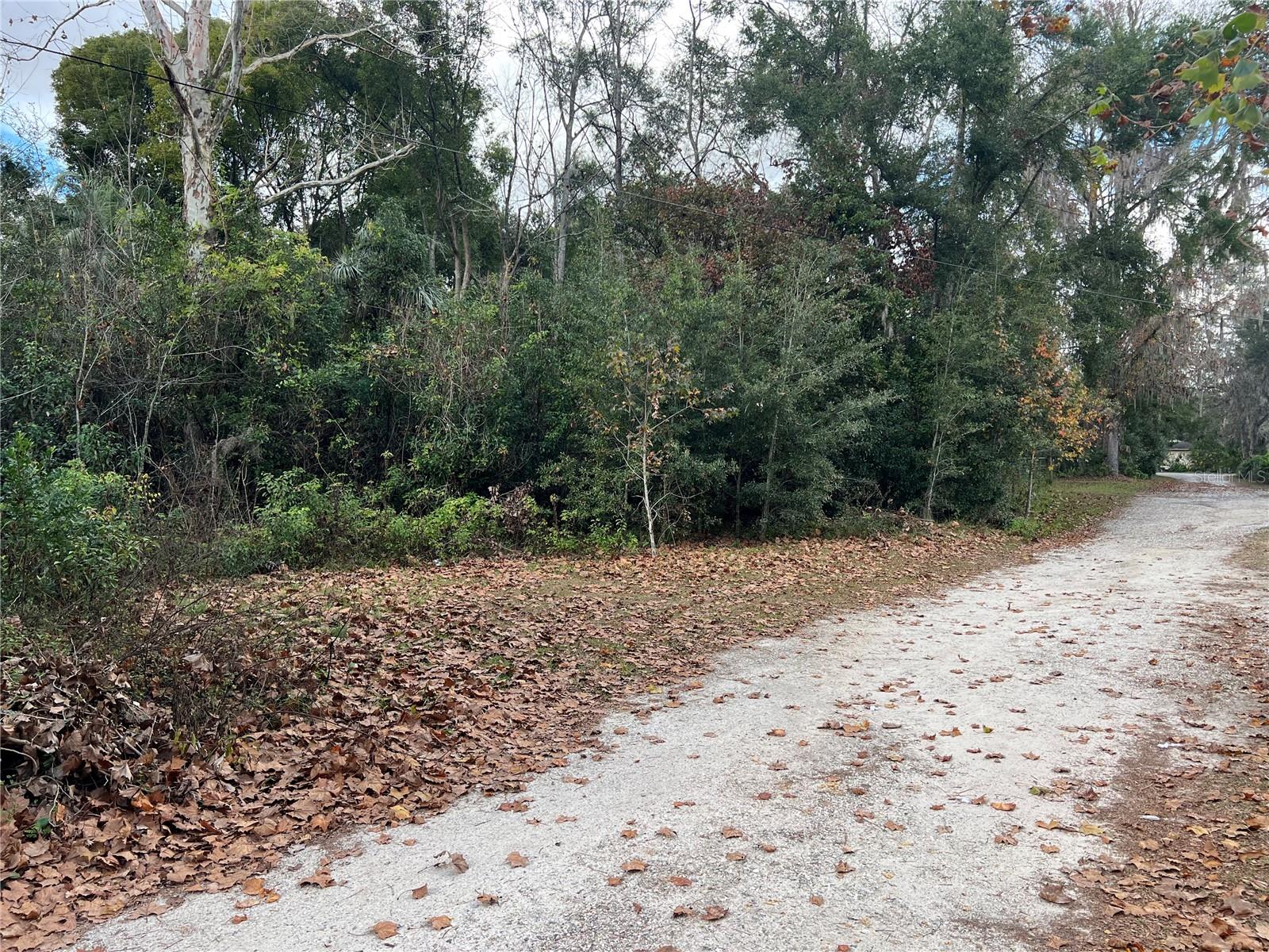 15979 SW COUNTY ROAD 346, ARCHER, FL, 32618