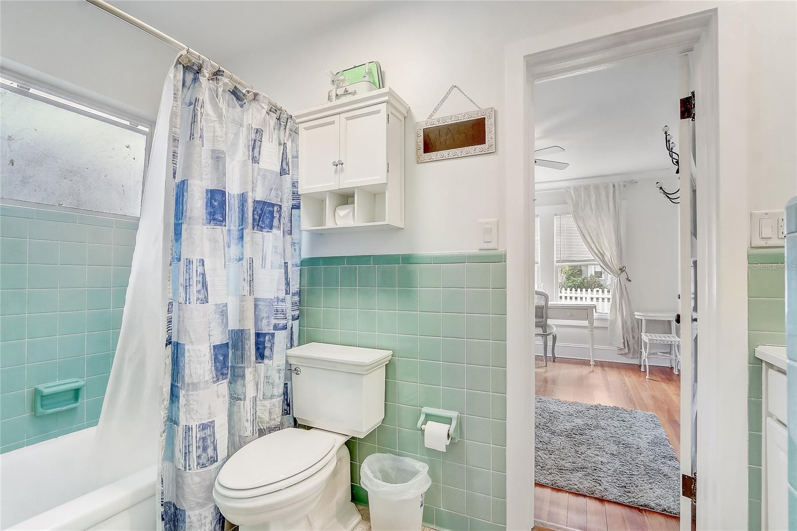 135 E 9TH AVE, MOUNT DORA, FL, 32757